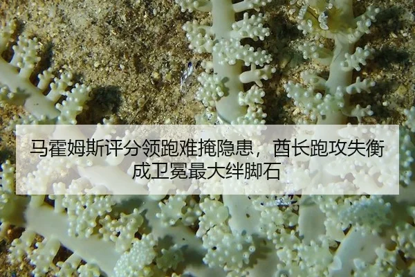 ma-huo-mu-si-ping-fen-ling-pao-nan-yan-yin-huan-qiu-zhang-pao-gong-shi-heng-cheng-wei-mian-zui-da-ban-jiao-shi-2-282.jpg
