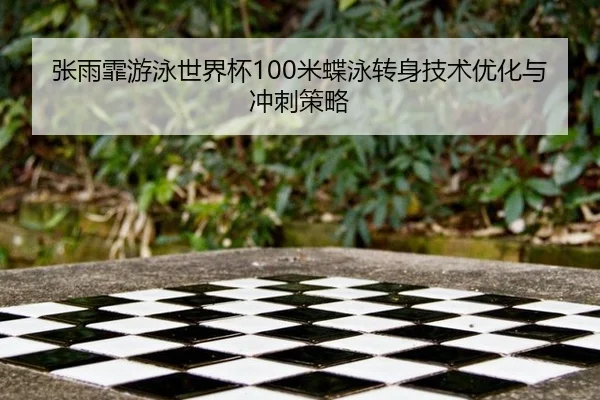 张雨霏游泳世界杯100米蝶泳转身技术优化与冲刺策略