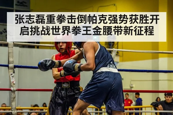 张志磊重拳击倒帕克强势获胜开启挑战世界拳王金腰带新征程