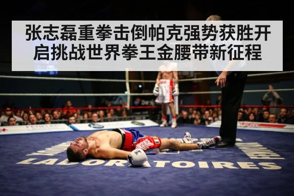 boxer knockout